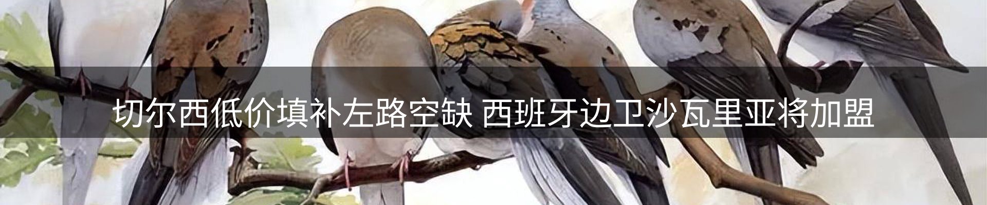 内页banner