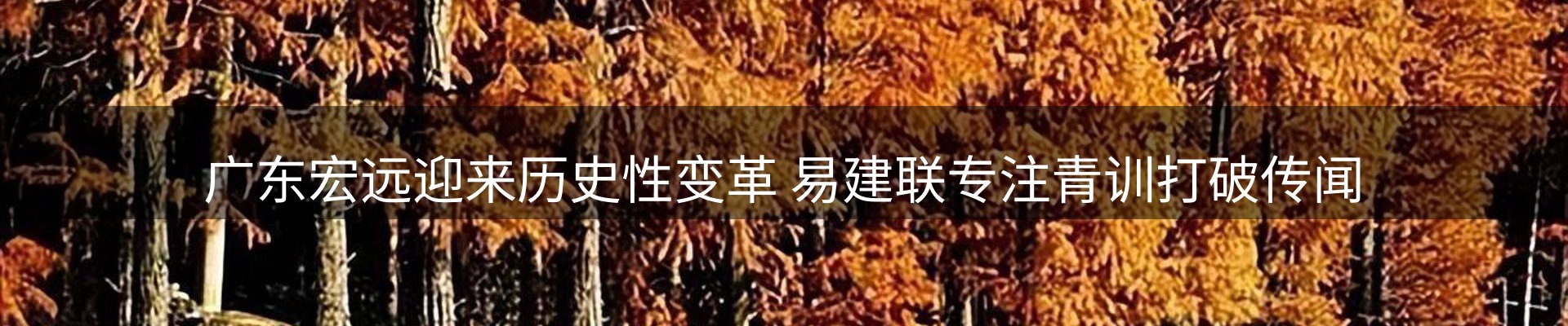 内页banner